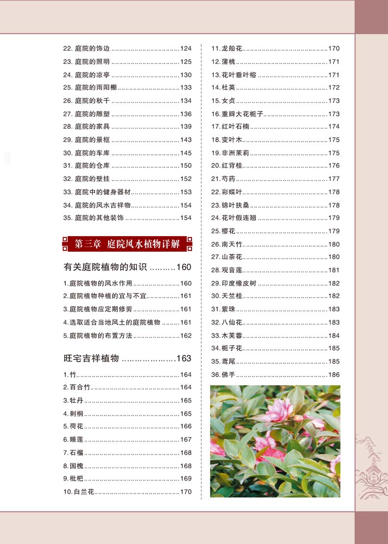 植物書(shū)籍