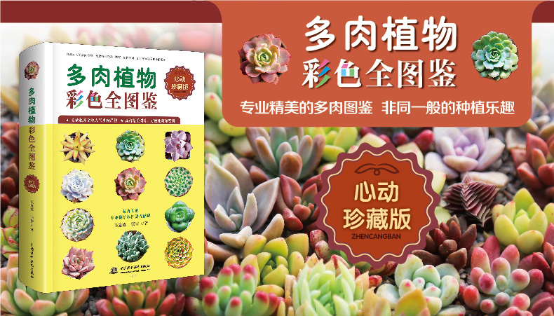 多肉植物彩色圖鑒