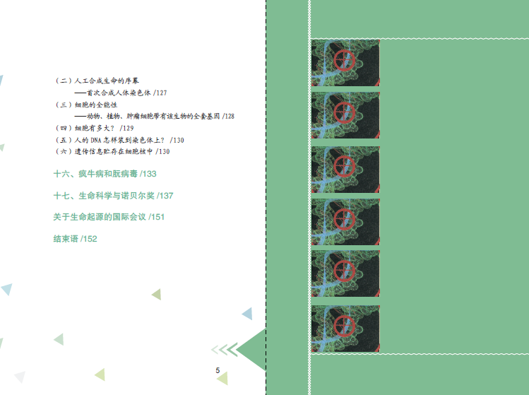 先有蛋