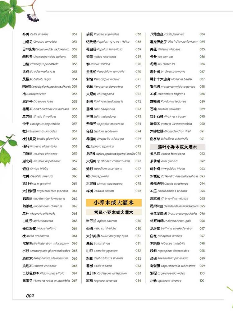 樹木圖鑒