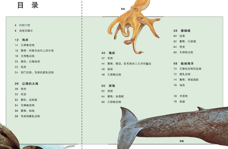 海洋