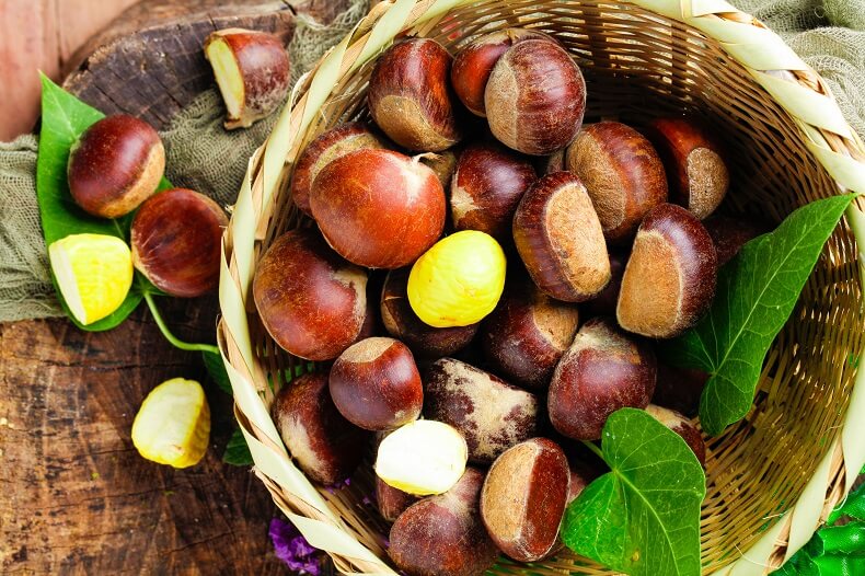 栗志走出大山的镇安板栗