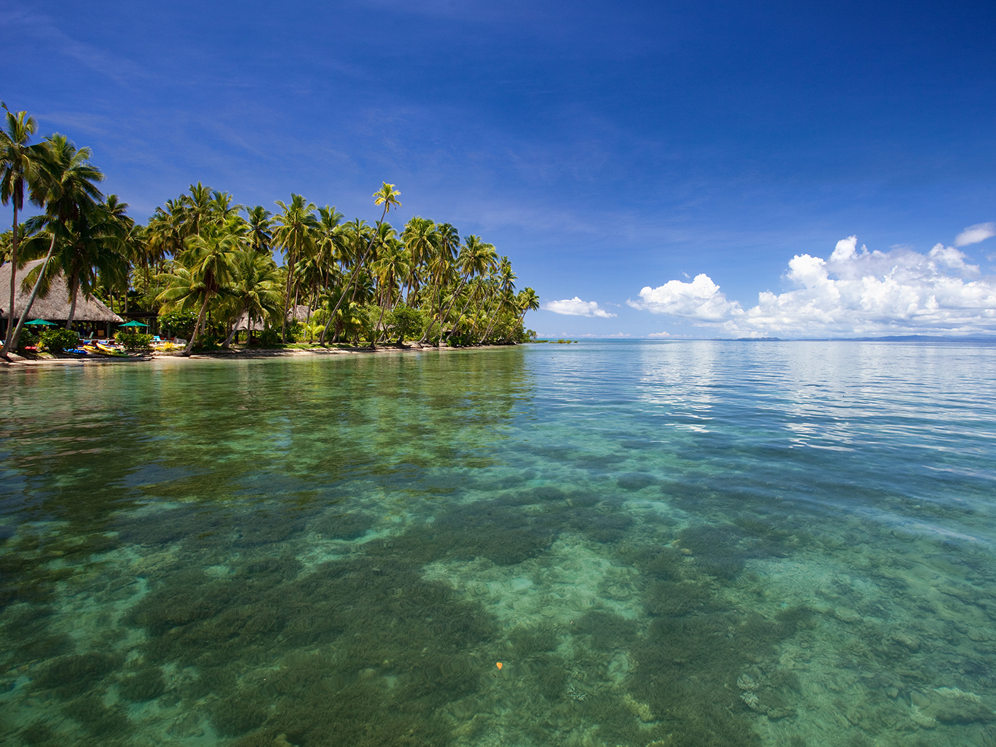 【中青旅】【一价全包】斐济4晚6天自由行【推荐 价格 介绍】-京东商