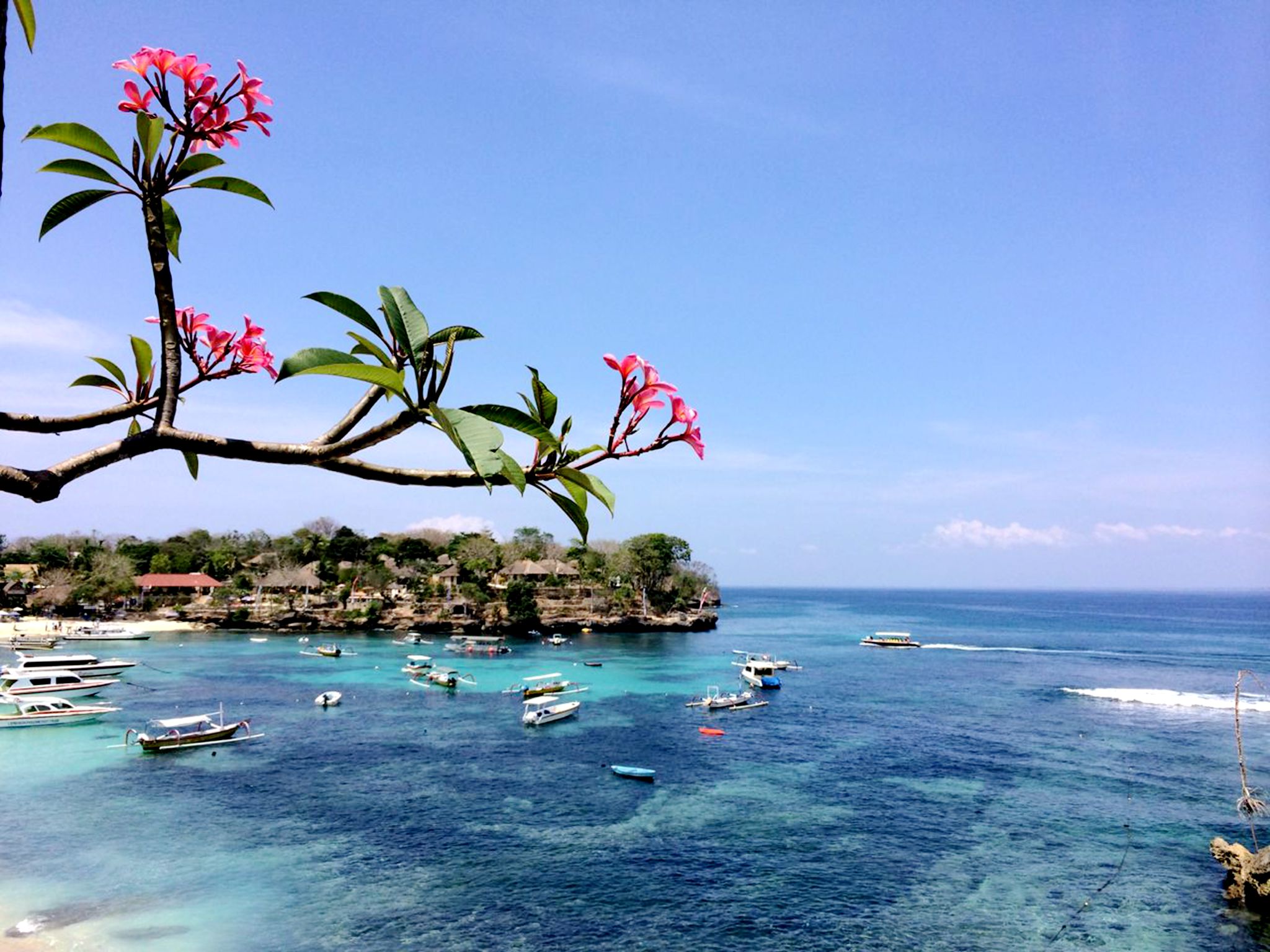 巴厘岛旅游攻略：不一样的风情盛宴