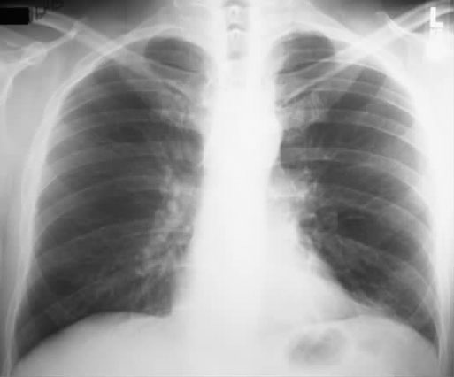 40岁以后的健康生活 男性篇 京东阅读 在线阅读 40岁以后的健康生活 男性篇 京东阅读 在线阅读