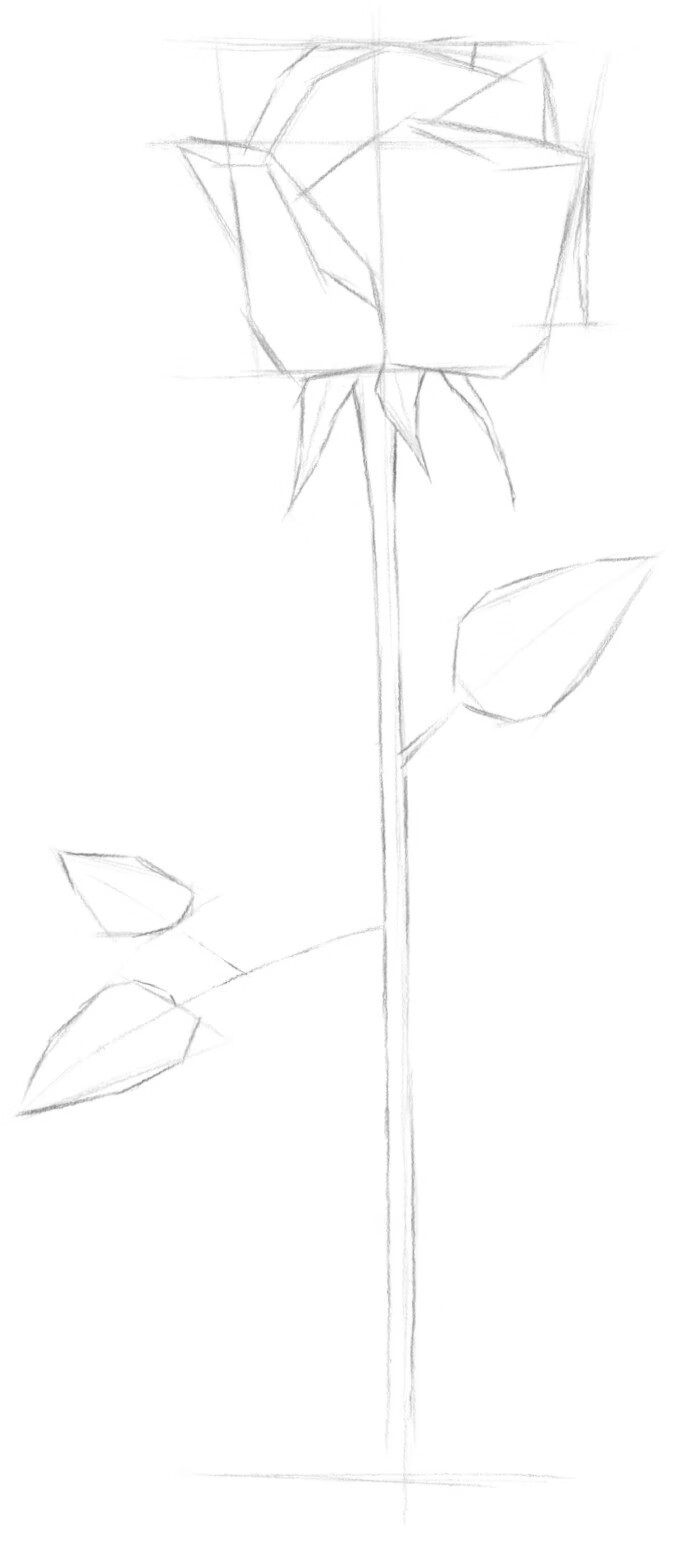 黑白花意——线描花卉从起形到插画创作pdf/doc/txt格式电子书下载