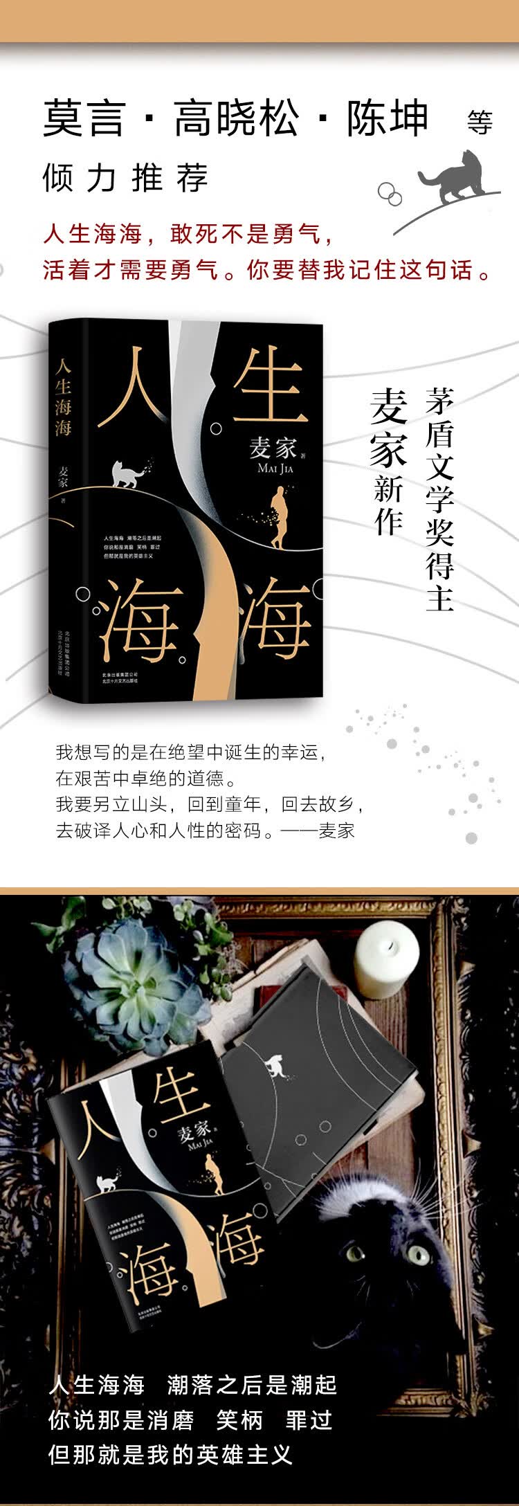 人生海海 莫言 董卿盛赞 麦家重磅力作 麦家 电子书下载 在线阅读 内容简介 评论 京东电子书频道