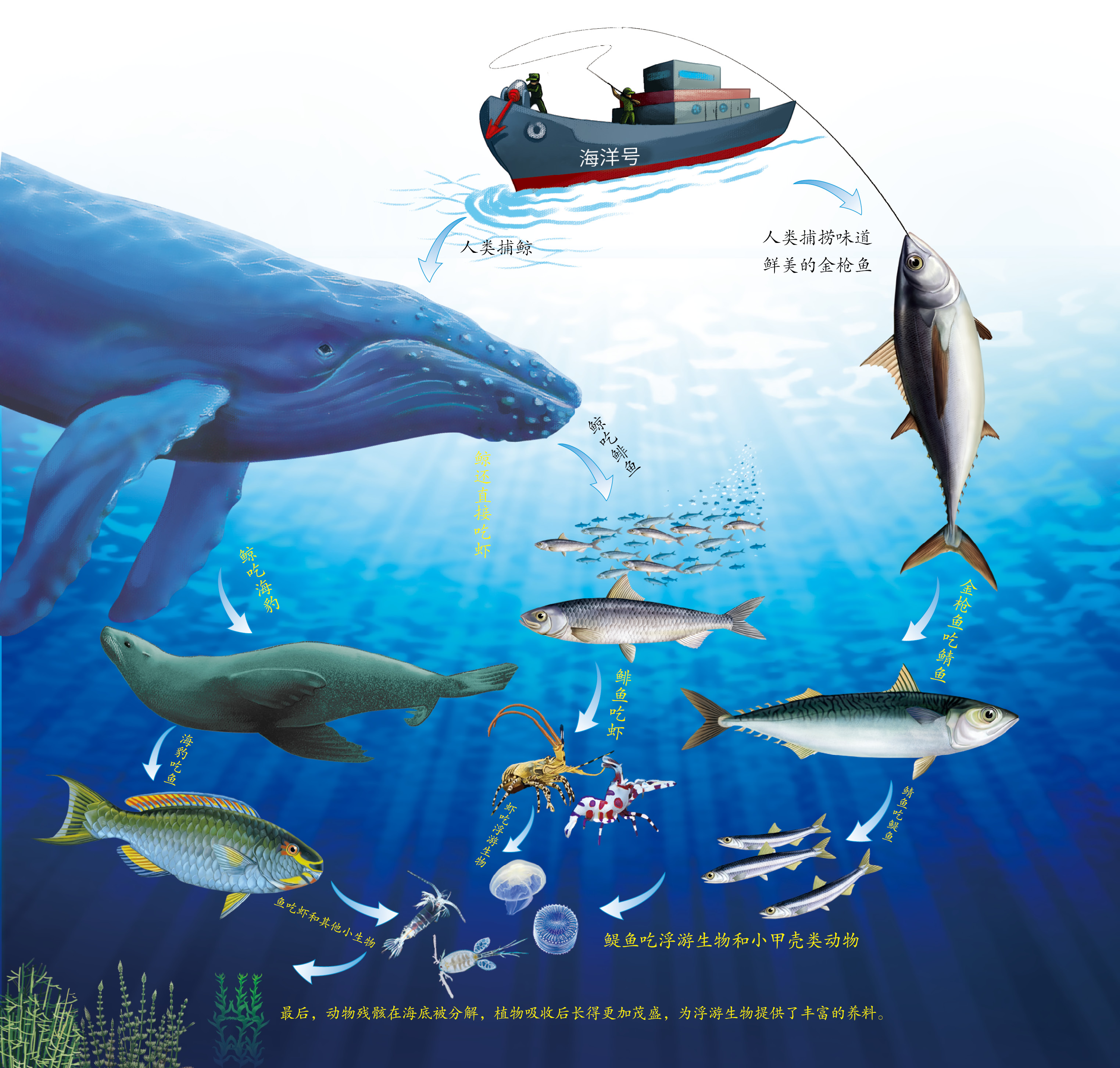 让孩子着迷的第一堂自然课：蓝色海洋pdf/doc/txt格式电子书下载