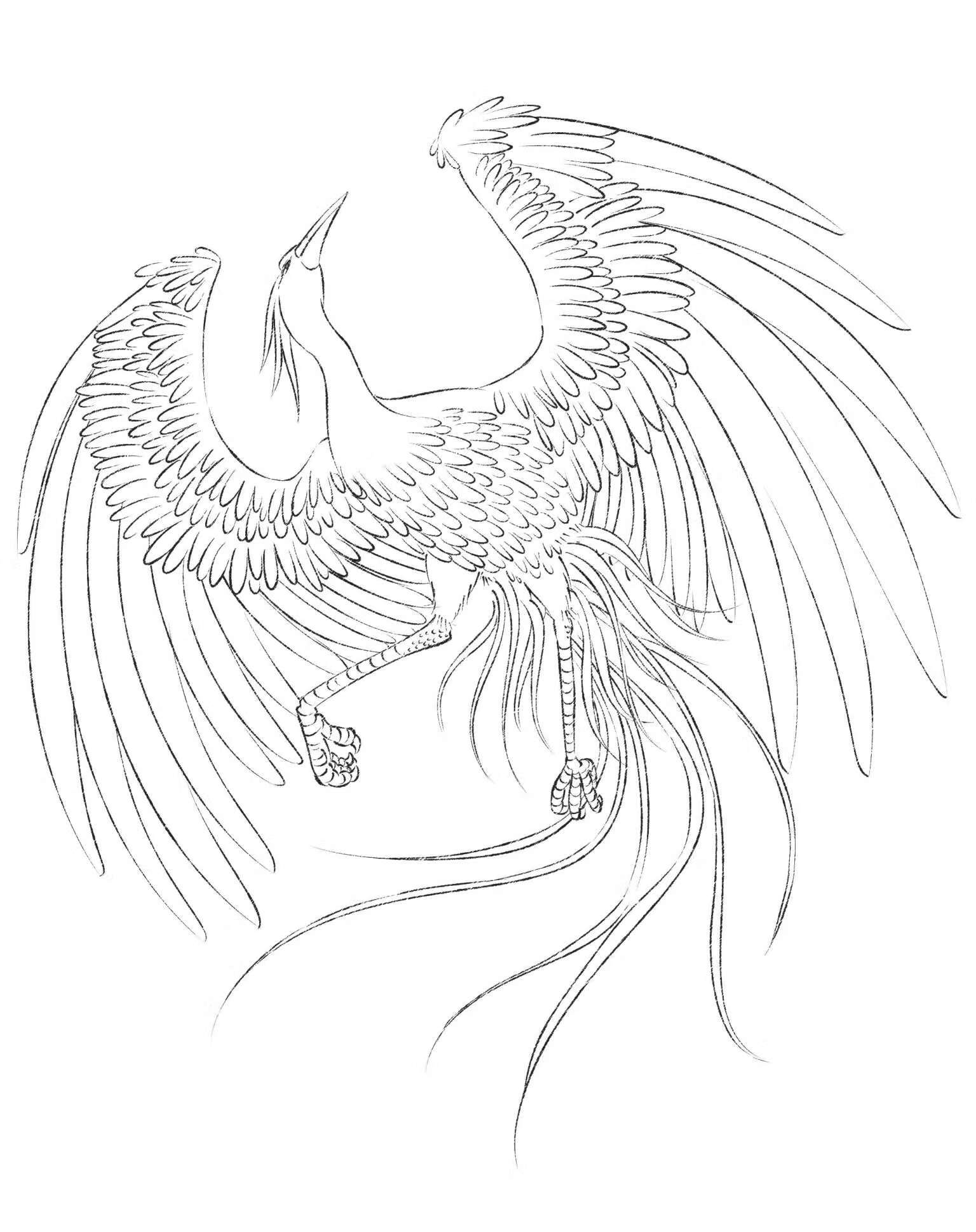 神怪志：白描东方传说从入门到精通pdf/doc/txt格式电子书下载