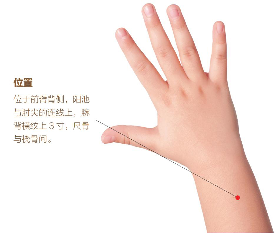 小儿推拿，揉揉按按更健康pdf/doc/txt格式电子书下载