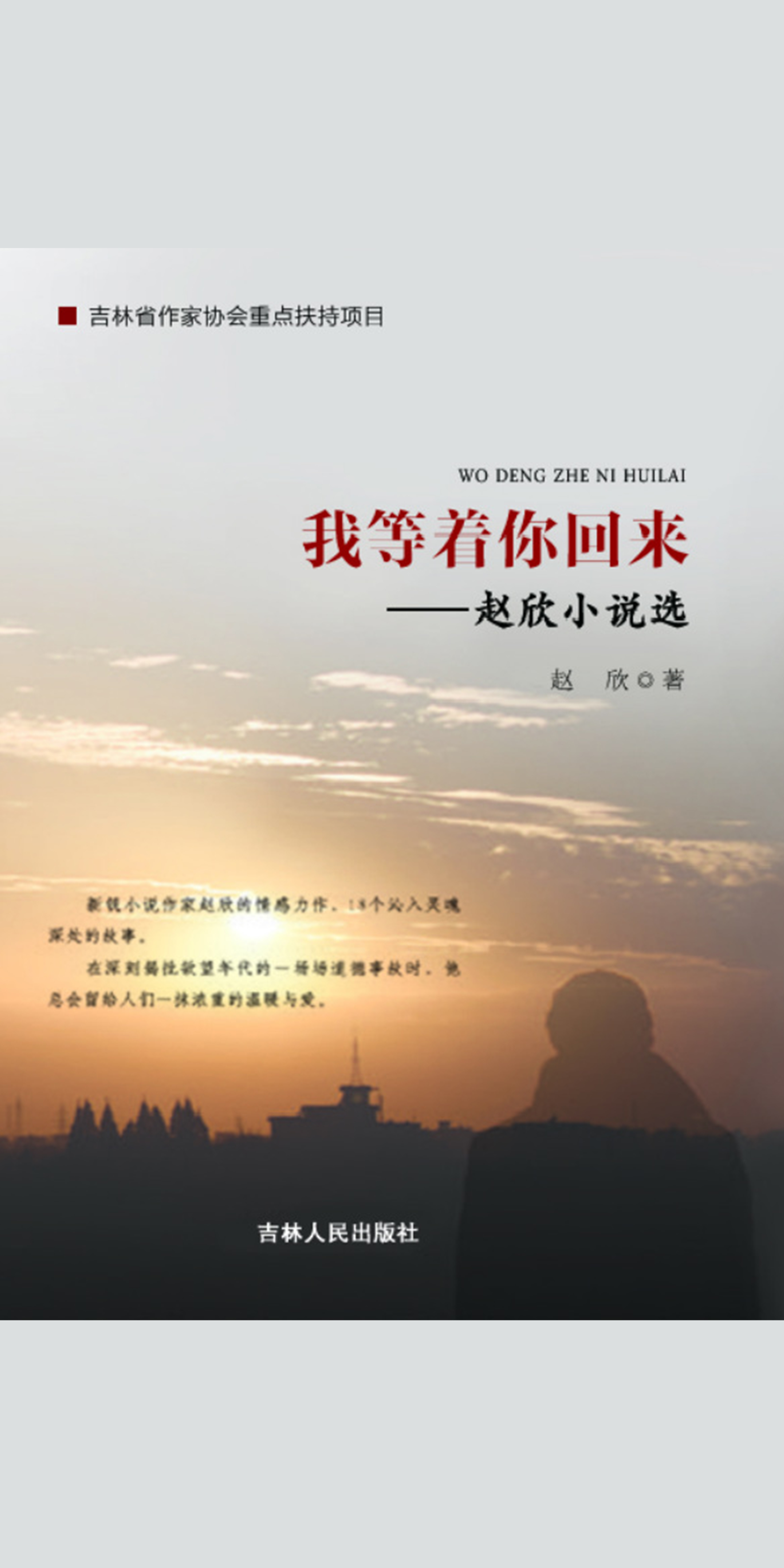 我等着你回来 赵欣 京东阅读 在线阅读