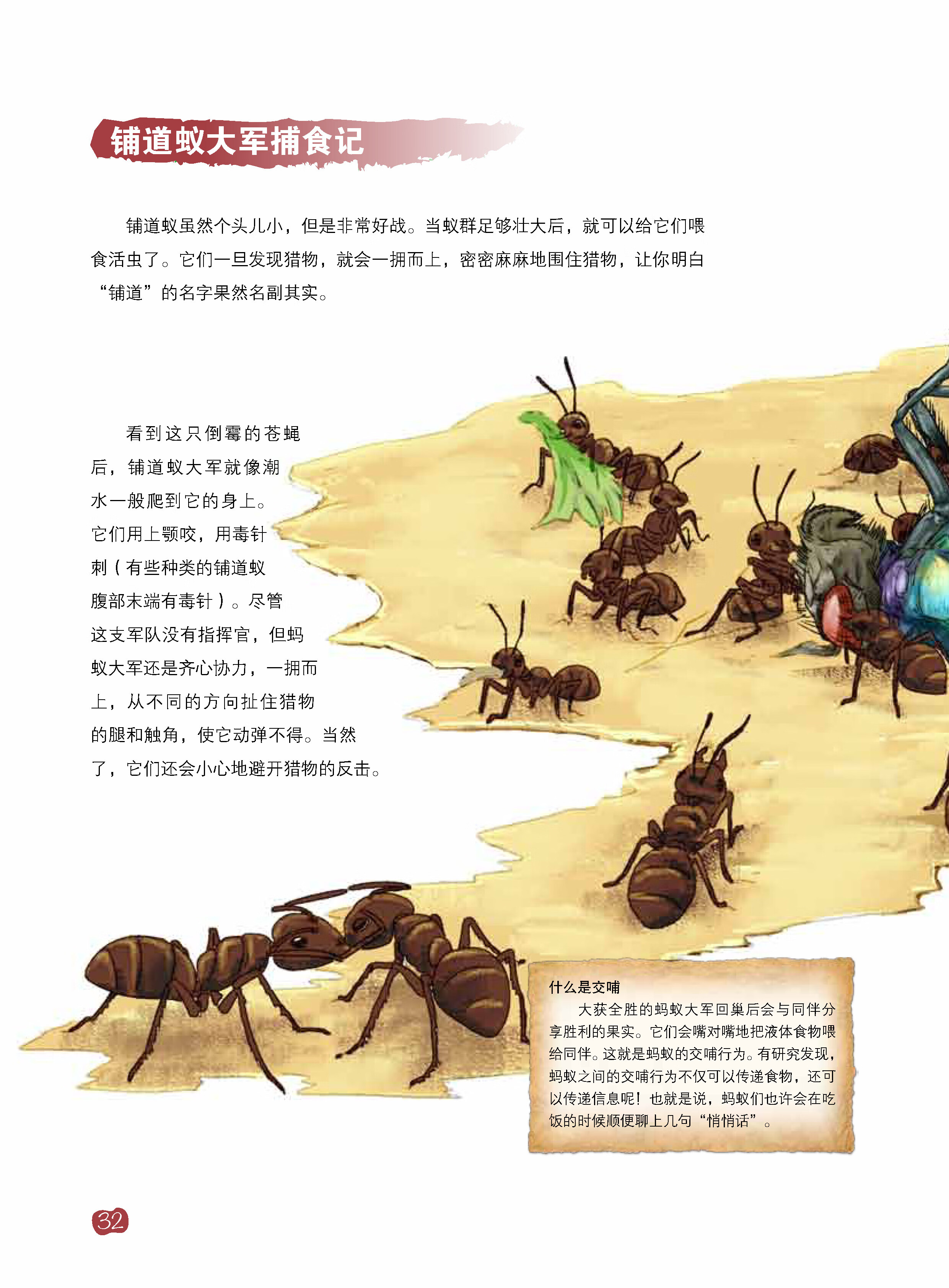 我的自然科学实践书·蚂蚁pdf/doc/txt格式电子书下载