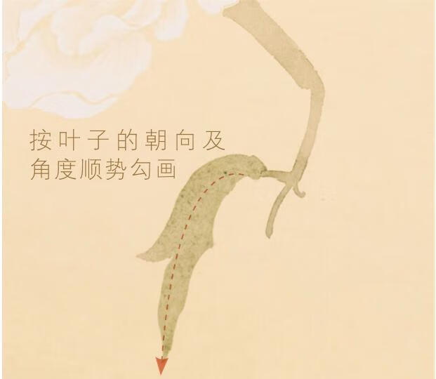中国画没骨技法入门精讲教程：视频教学版pdf/doc/txt格式电子书下载