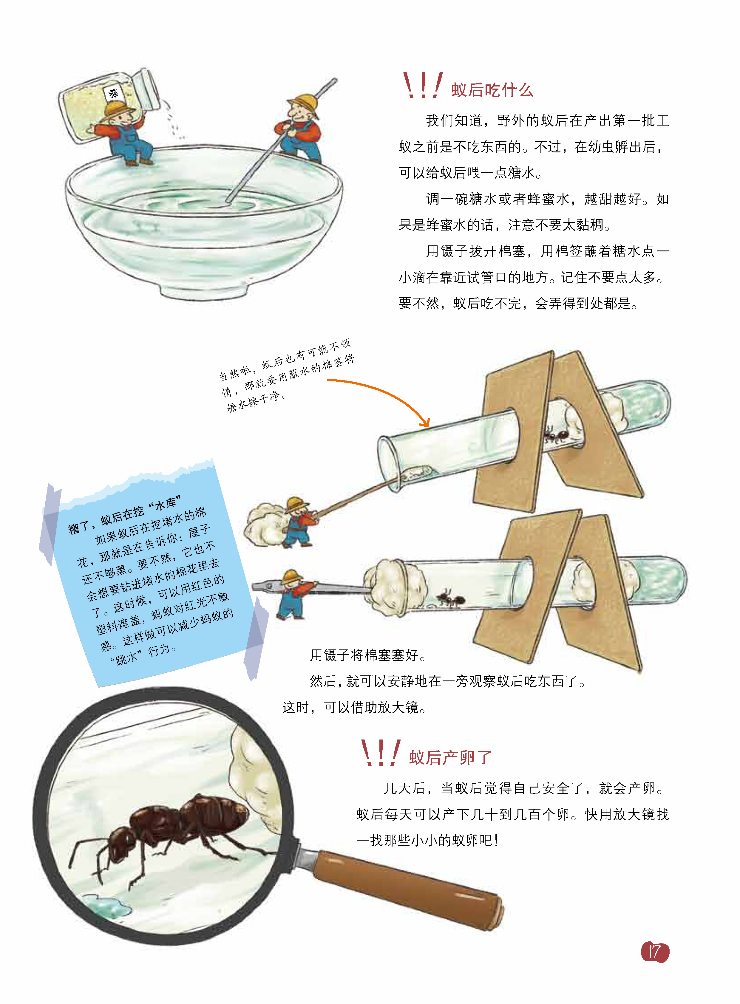 我的自然科学实践书·蚂蚁pdf/doc/txt格式电子书下载
