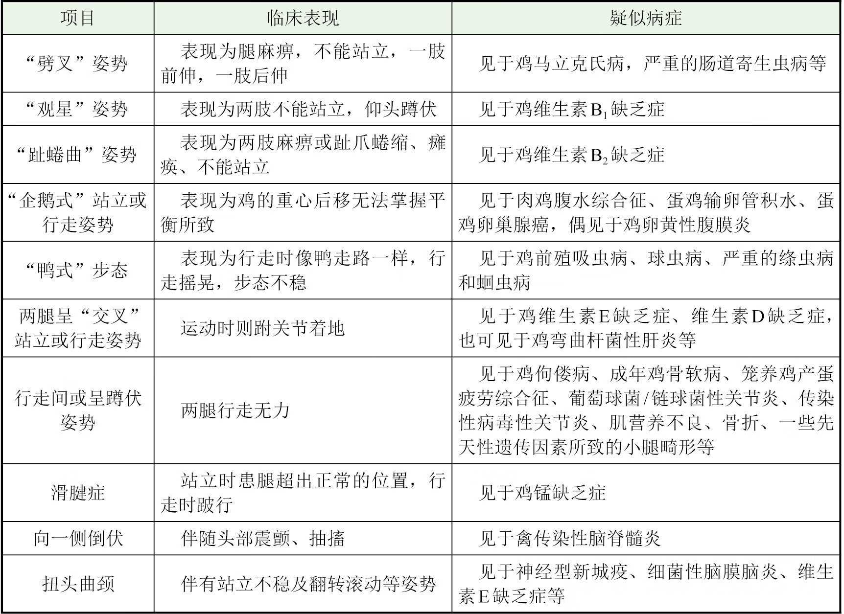 鸡病类症鉴别与诊治彩色图谱pdf/doc/txt格式电子书下载插图10 鸡病类症鉴别与诊治彩色图谱pdf/doc/txt格式电子书下载