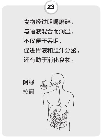 疾病的真相：熊猫医生科普日记pdf/doc/txt格式电子书下载