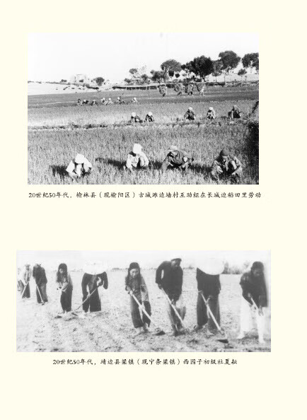 中国共产党榆林历史（第2卷）pdf/doc/txt格式电子书下载