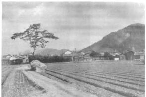 科特论松下领导艺术 美 约翰 P 科特 京东阅读 在线阅读