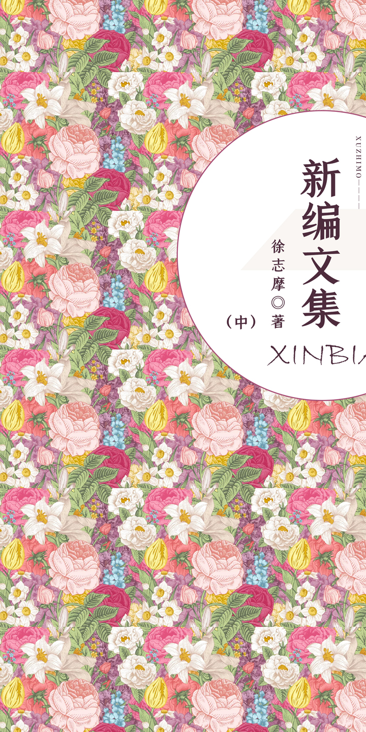 新编文集 中 徐志摩 陆小曼 京东阅读 在线阅读 新编文集 中 徐志摩 陆小曼 京东阅读 在线阅读