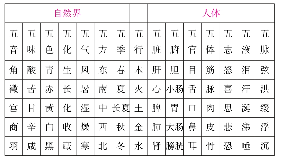 2019中西医结合执业助理医师资格考试考点速记突破胜经(上册)pdf/doc/txt格式电子书下载插图4 img