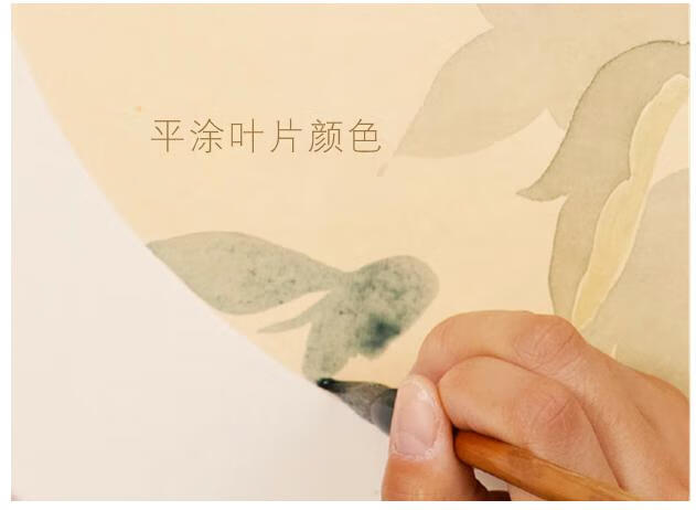 中国画没骨技法入门精讲教程：视频教学版pdf/doc/txt格式电子书下载
