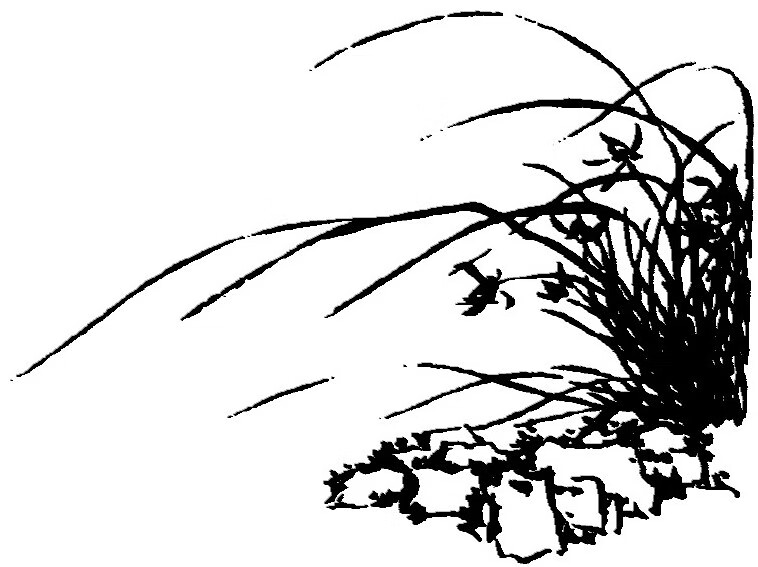 最受读者喜爱的诗词 第1卷 Null 京东阅读 在线阅读