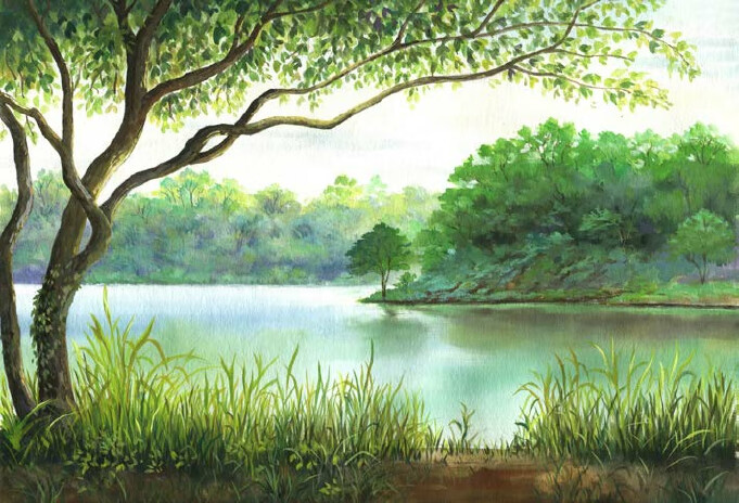 水彩风景绘：水彩风景完全自学教程（二维码视频教学超值版）pdf/doc/txt格式电子书下载