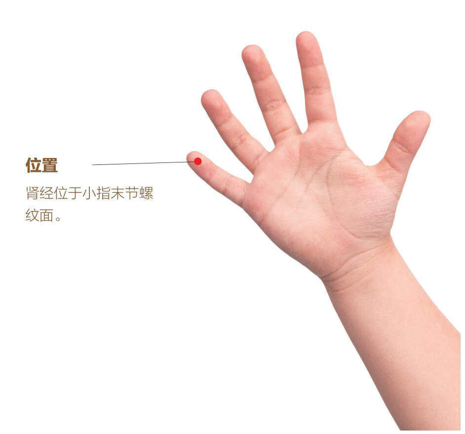 小儿推拿，揉揉按按更健康pdf/doc/txt格式电子书下载