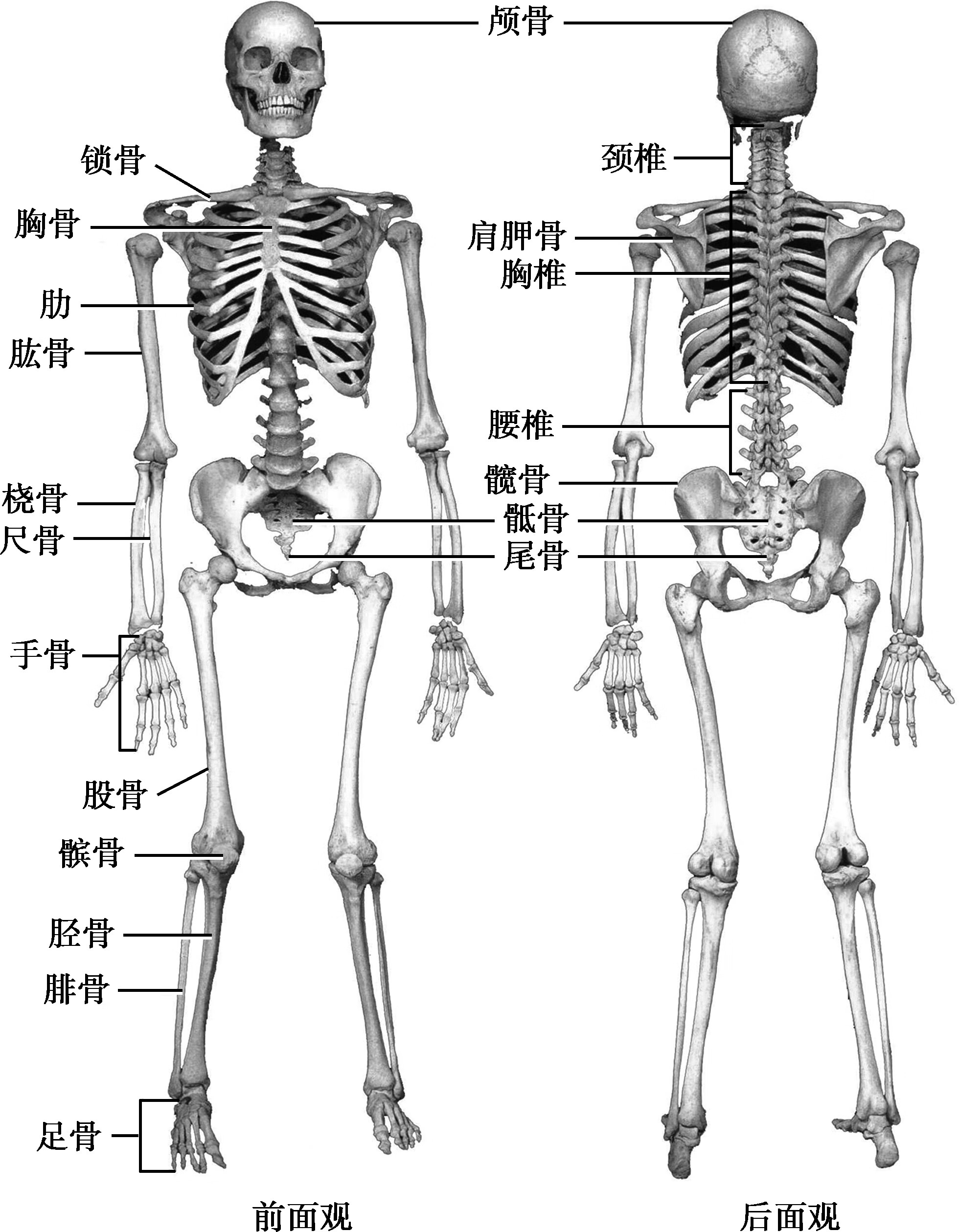 实用现场急救技术pdf Doc Txt格式电子书下载 Vs电子书