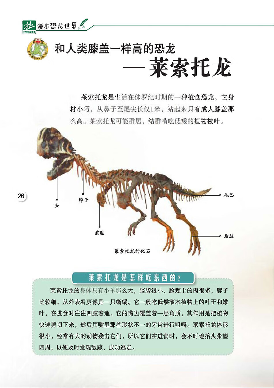漫步恐龙世界pdf/doc/txt格式电子书下载