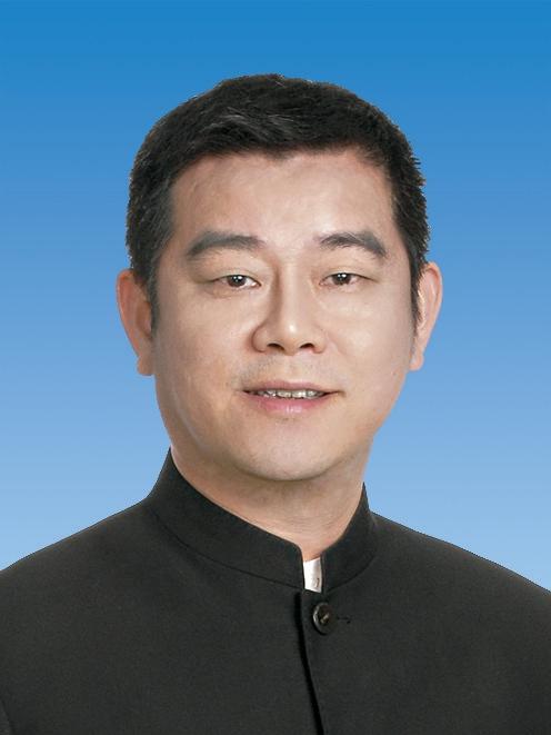 内科学：心血管内科分册pdf/doc/txt格式电子书下载