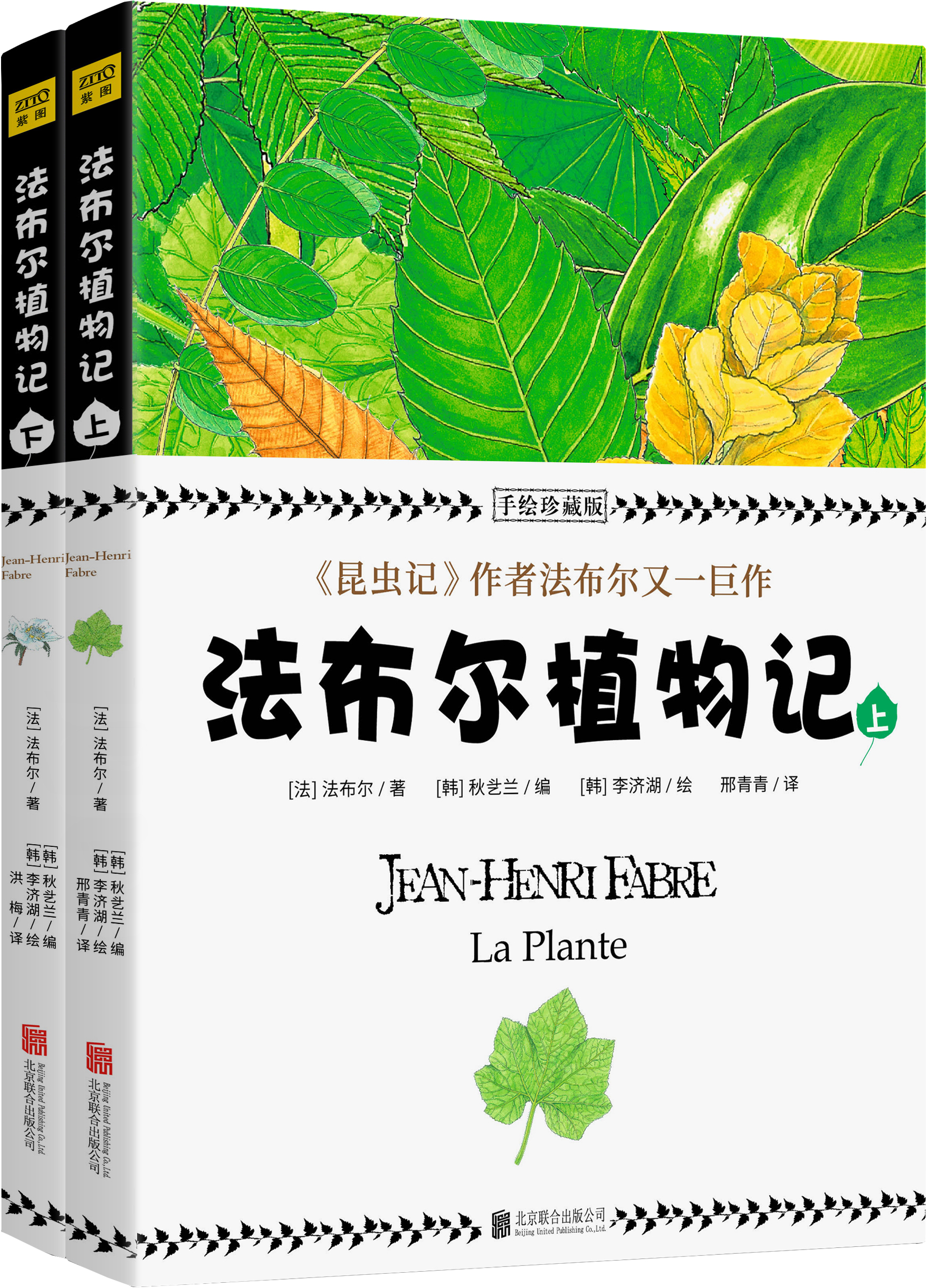法布尔植物记+昆虫志（套装共2册）pdf/doc/txt格式电子书下载