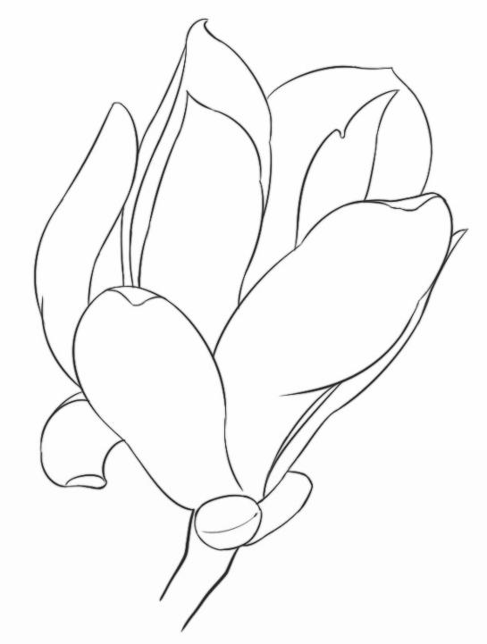 古风图谱集：古风手绘线稿素材800例pdf/doc/txt格式电子书下载