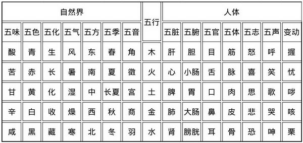 中医基础理论快记pdf/doc/txt格式电子书下载