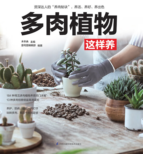 多肉植物这样养pdf Doc Txt格式电子书下载 Vs电子书