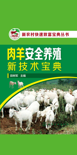 肉羊安全养殖新技术宝典pdf/doc/txt格式电子书下载