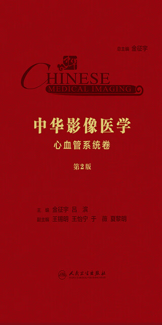 中华影像医学·心血管系统卷（第2版）pdf/doc/txt格式电子书下载