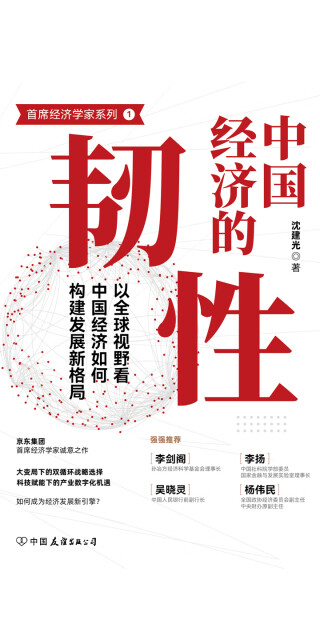 中国经济的韧性pdf/doc/txt格式电子书下载