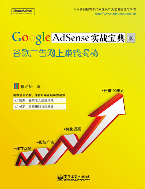 Google AdSense实战宝典：谷歌广告网上赚钱揭秘pdf/doc/txt格式电子书下载
