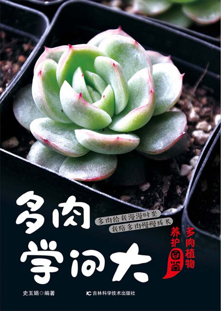 多肉学问大 多肉植物养护图鉴pdf Doc Txt格式电子书下载 Vs电子书