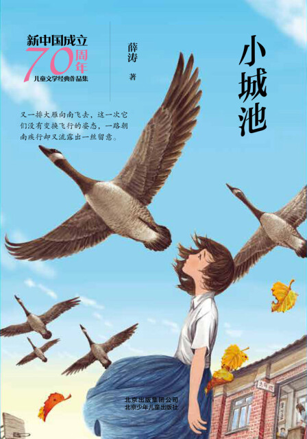 新中国成立70周年儿童文学经典作品集：小城池pdf/doc/txt格式电子书下载