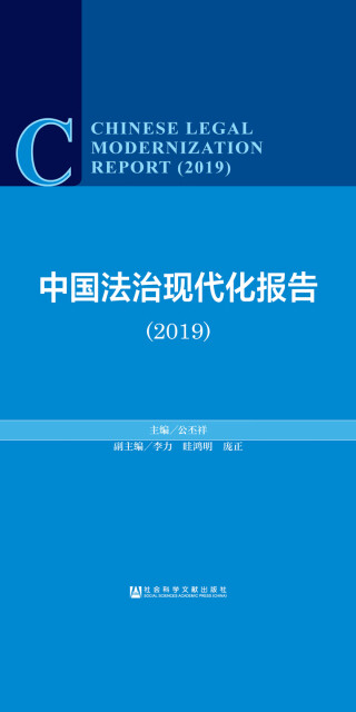 中国法治现代化报告（2019）pdf/doc/txt格式电子书下载