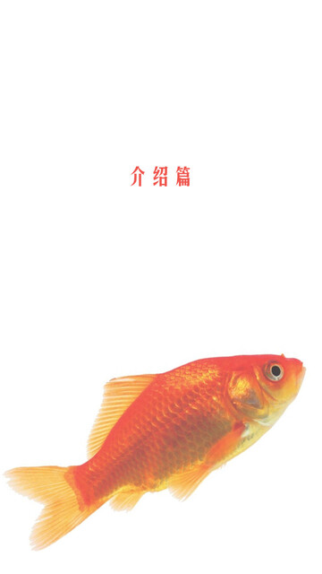 龙鱼pdf Doc Txt格式电子书下载 Vs电子书