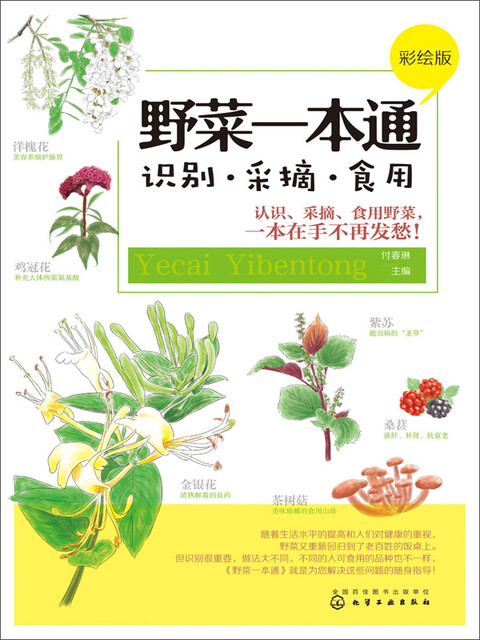 野菜一本通 识别 采摘 食用 彩绘版 Pdf Doc Txt格式电子书下载 Vs电子书
