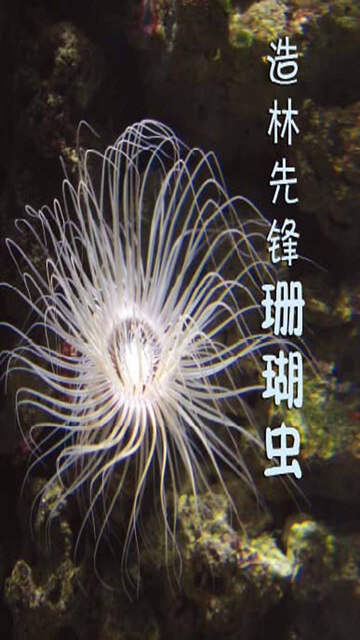 珊瑚花园pdf Doc Txt格式电子书下载 Vs电子书