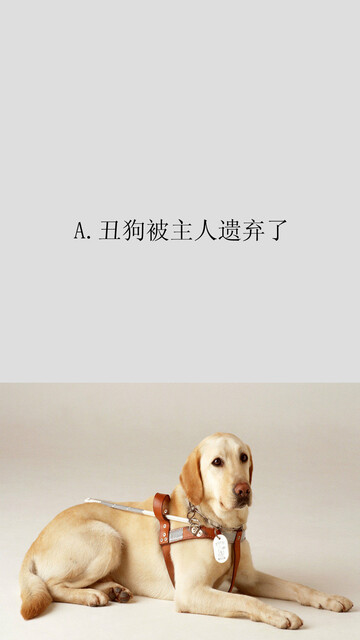 导盲犬迪克 动物小说大王沈石溪 品藏书系 Pdf Doc Txt格式电子书下载 Vs电子书