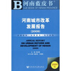 

河南城市蓝皮书：2009河南城市改革发展报告（附CD光盘1张）