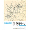 

初学者之友：白描荷花