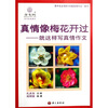 

真情像梅花开过：就这样写真情作文