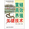 

黄鳝高效养殖关键技术